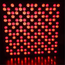 Nitric Oxide The Cellular Supercharger for Detox, Circulation & Skin Health